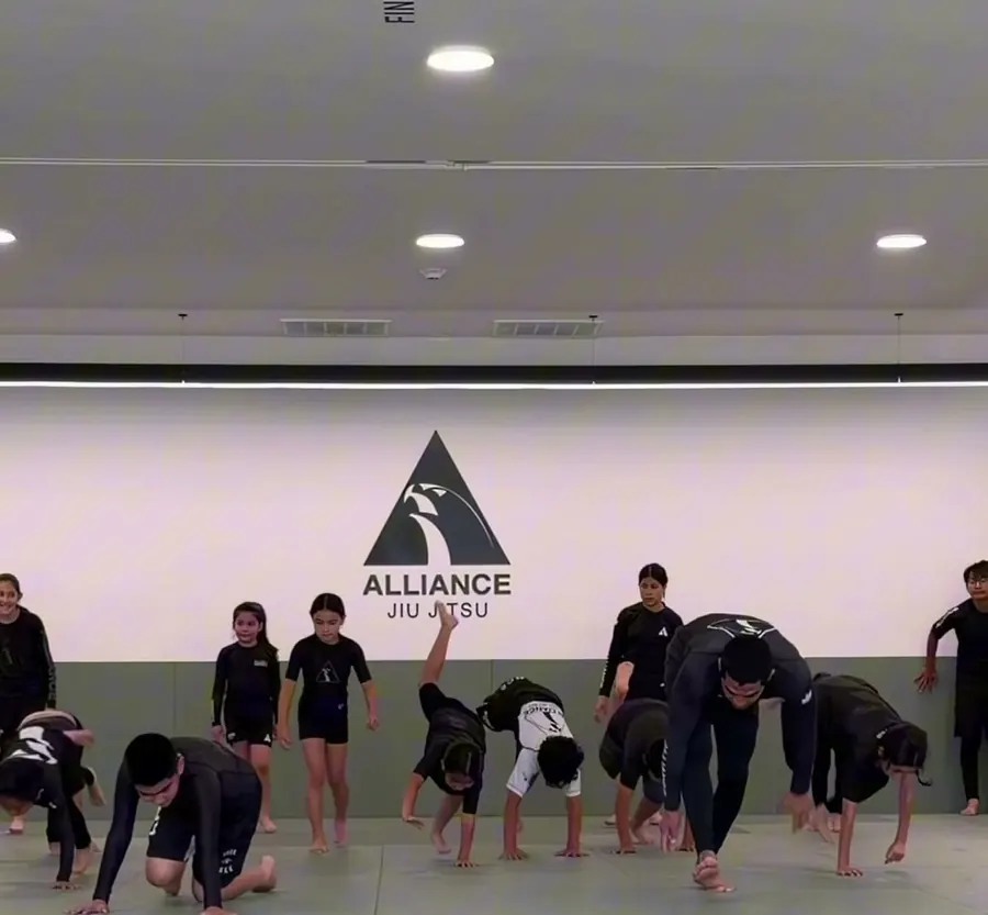 Training floor with the Alliance triangle on the wall